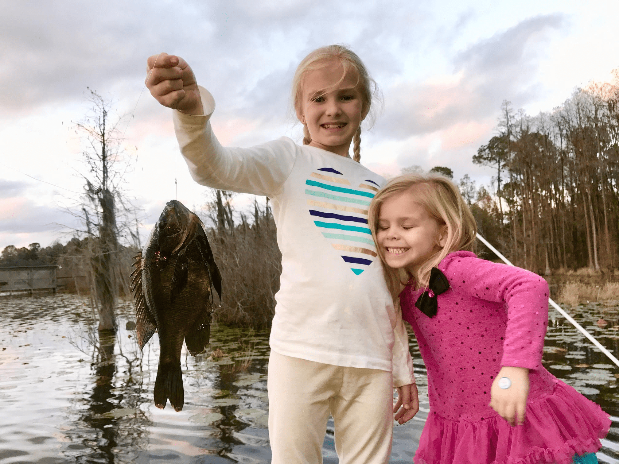 bluegill photo
