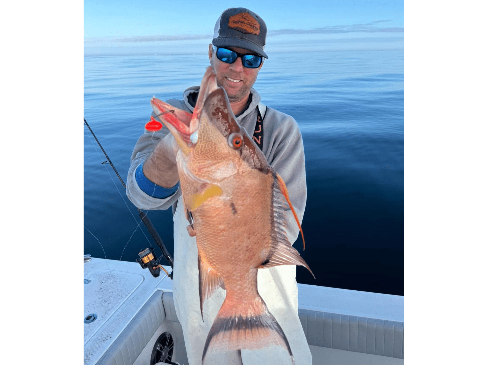 hog fish
