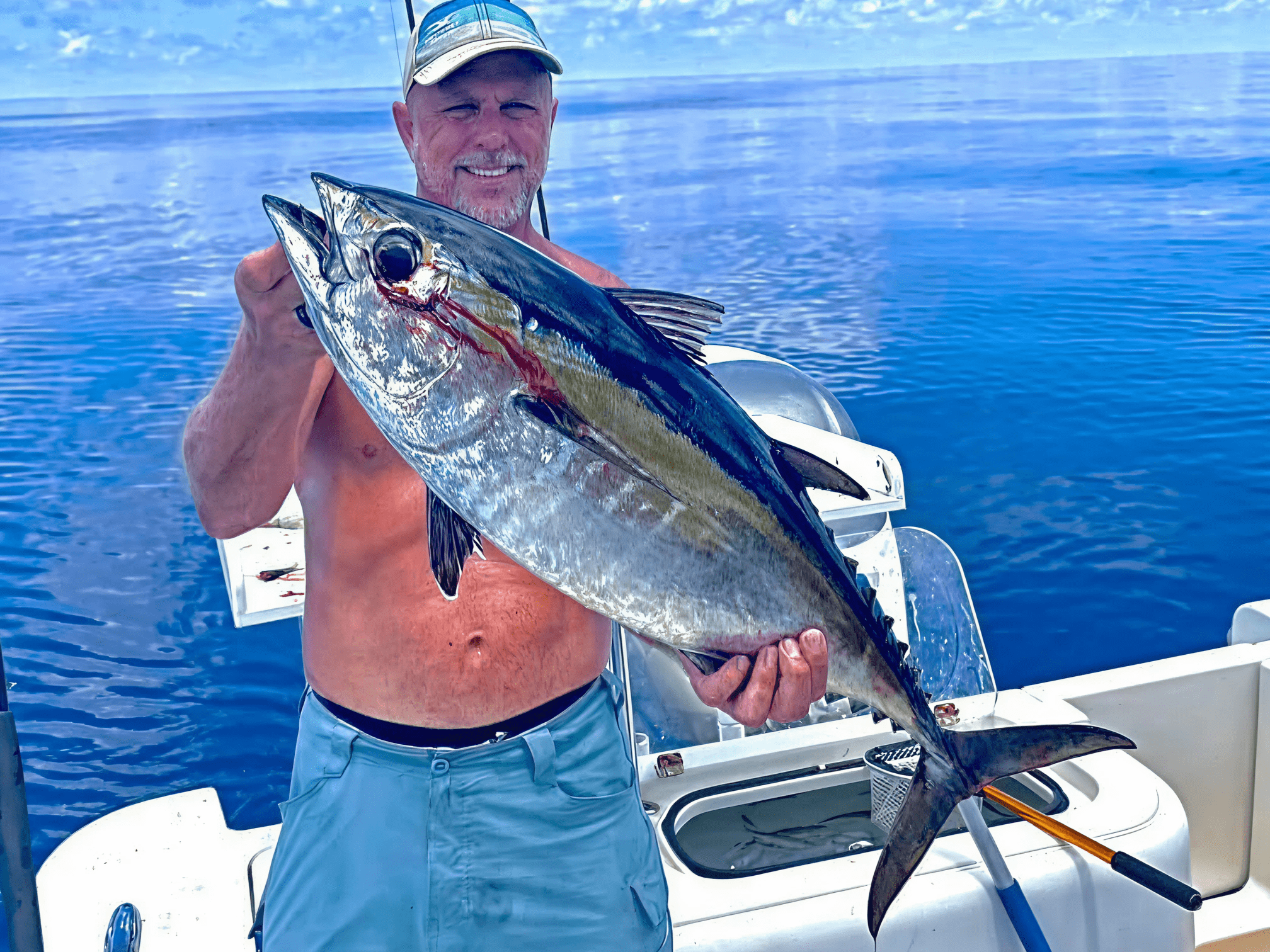 tuna shot below